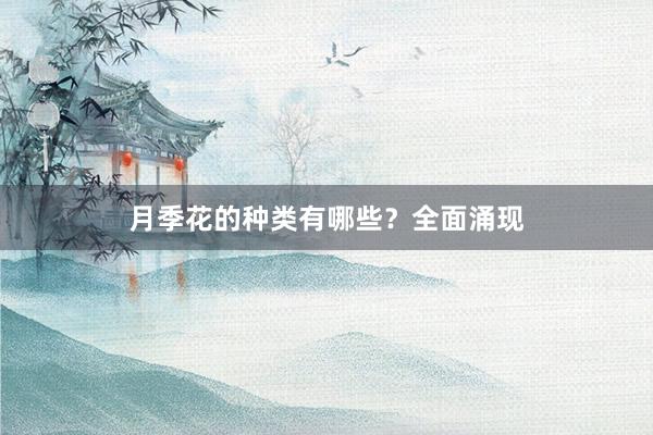 月季花的种类有哪些？全面涌现