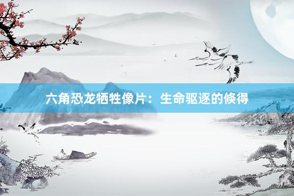 六角恐龙牺牲像片：生命驱逐的倏得
